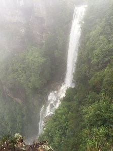 Aus falls