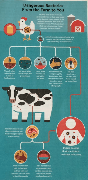 food safety consumer reports.png